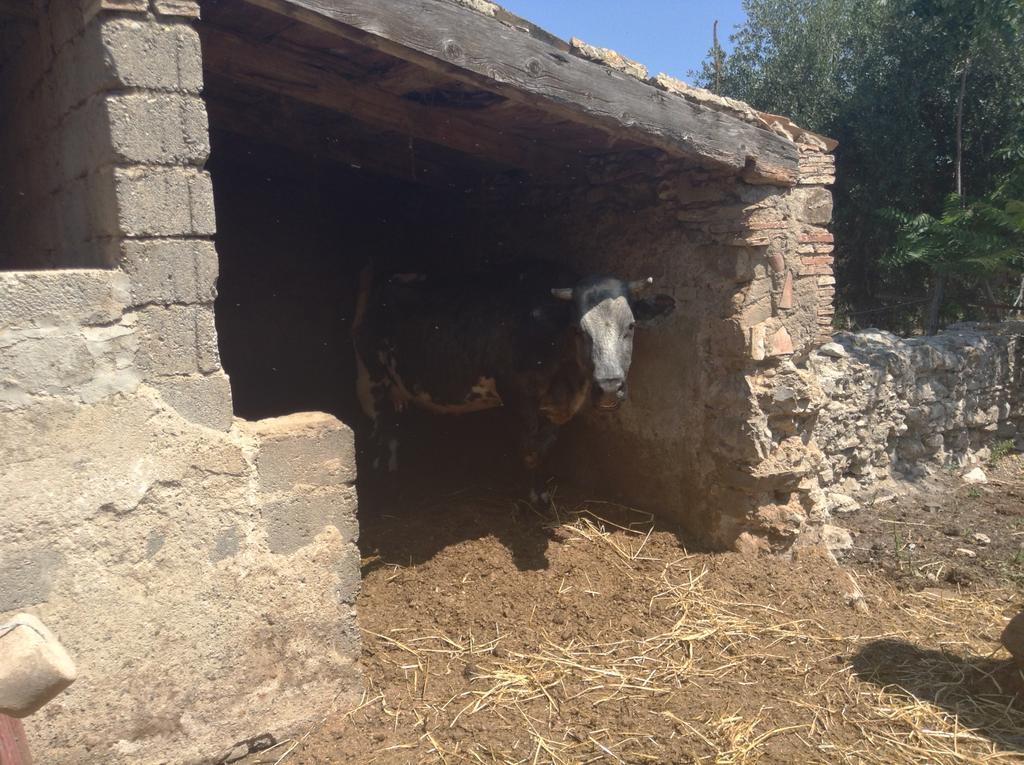 Willa Antico Frantoio Cerchiara di Calabria Zewnętrze zdjęcie